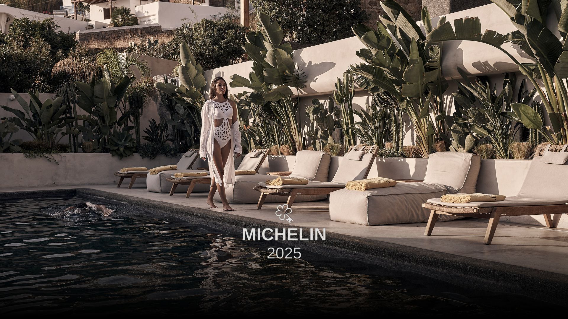 Michelin Guide